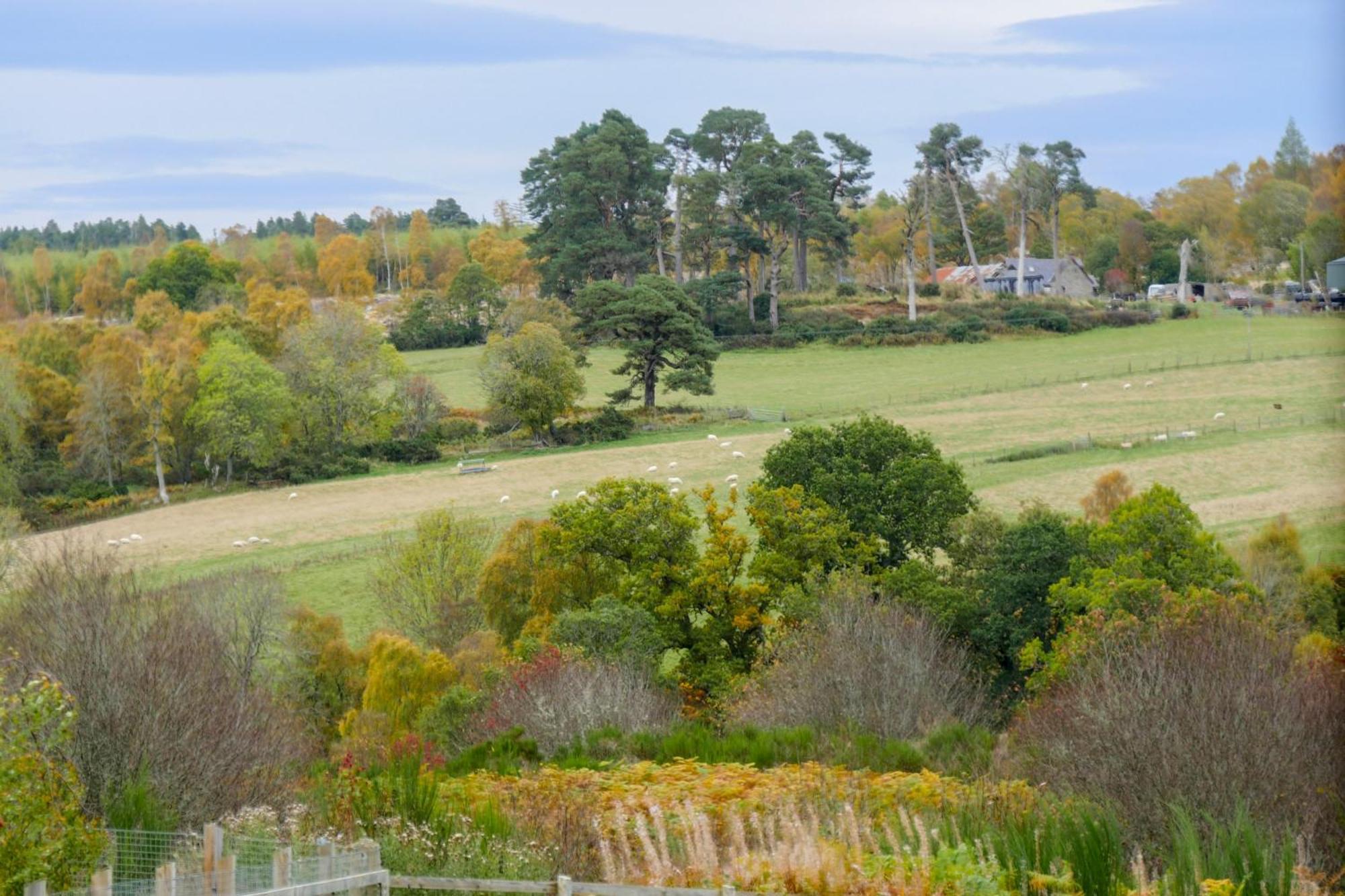 Шале Glenview Park